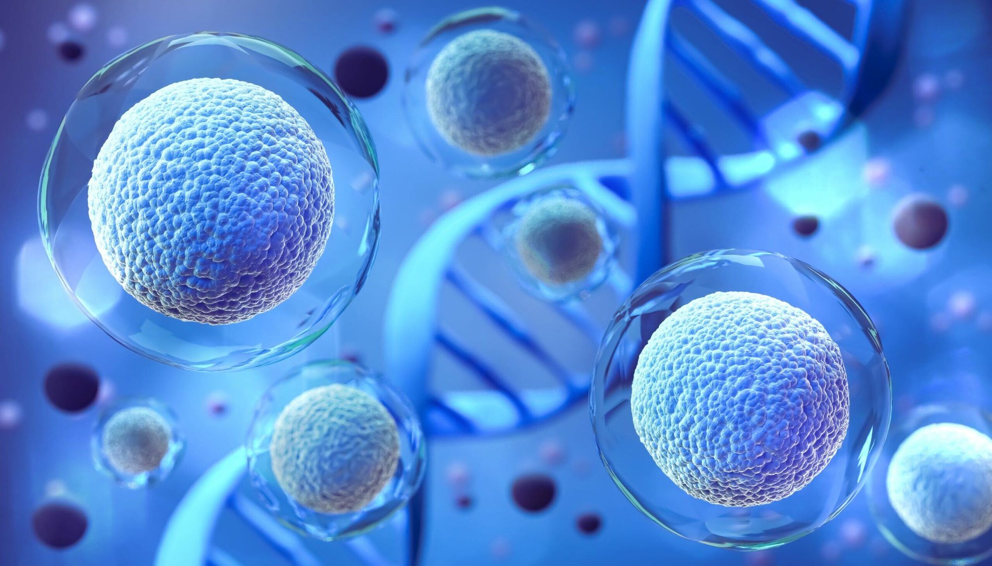 cell therapy