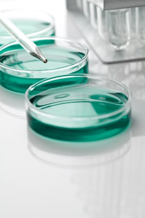 iStock-155072181 iStock-155072181